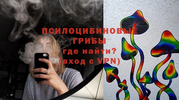 mdpv Козловка